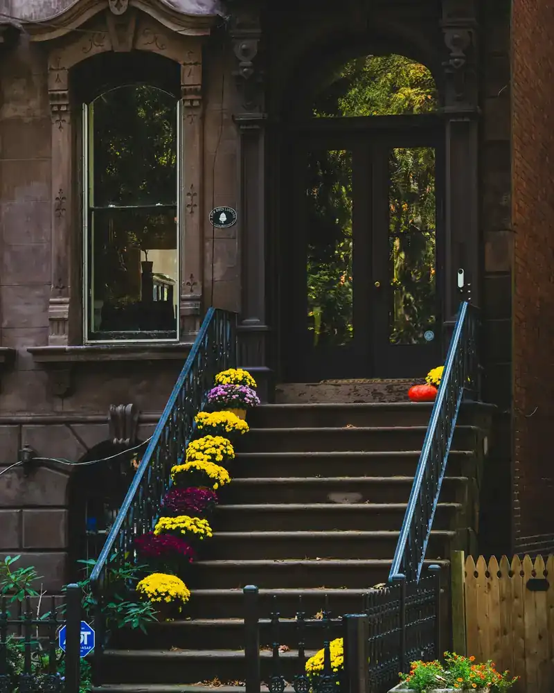 Brownstone stoop lined with potted flowers