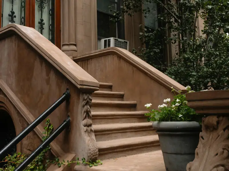 Brownstone stoop with a potted plant and street trees